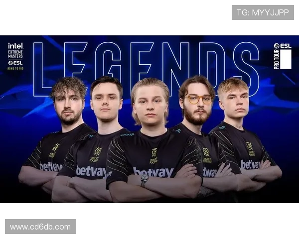 WE战队的荣耀与挑战CSGO纪实记录他们的奋斗历程与成长故事