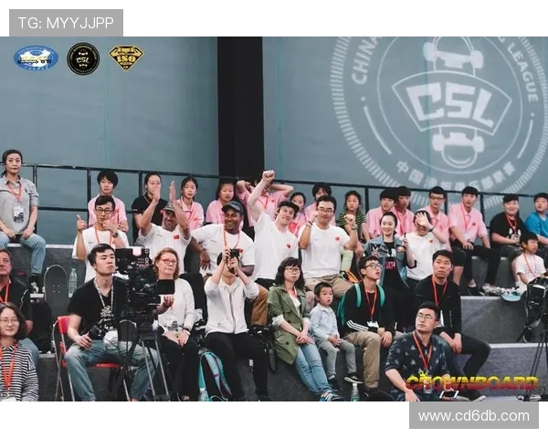 南京滑板队运营策略深度分析与发展前景探讨