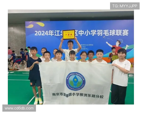 南京羽毛球队的崛起与发展探讨聚焦羽毛球运动的力量与未来