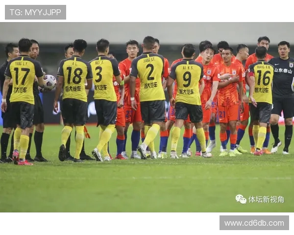 广州羽毛球队总决赛表现分析与比赛经验总结