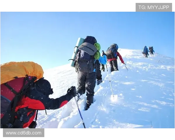 极限运动的挑战与激情：探秘杭州极限运动队的战斗精神与团队协作