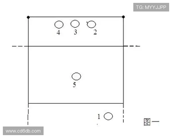 深圳排球队战术实力分析排球战术排行榜揭示其第九名地位