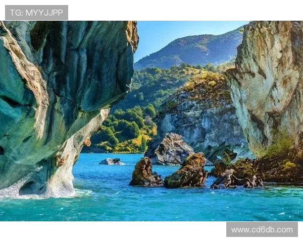 深圳极限运动队的转型与创新探索之路全面解析