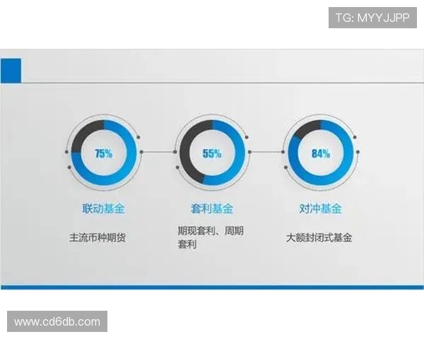 独家分析：WE的团队协作对比