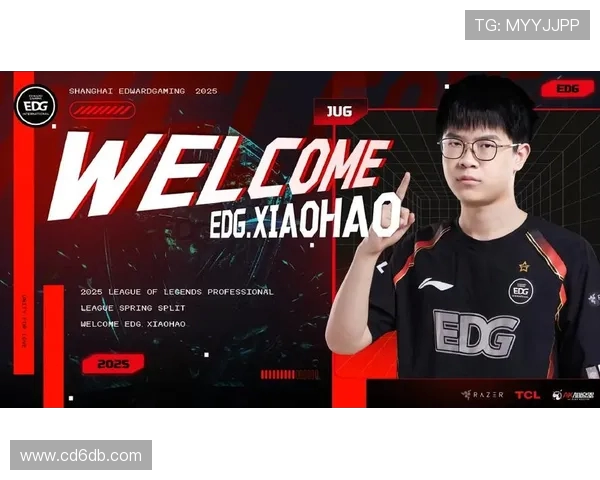 英雄联盟深度解析：EDG战队的战术创新与技术优势探讨