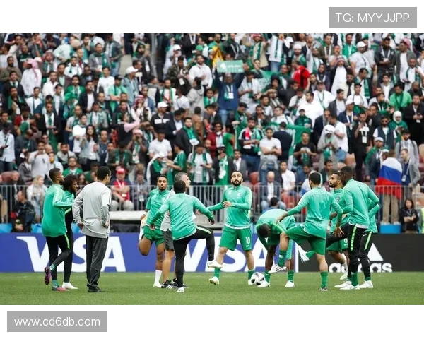 沙特与俄罗斯精彩对决录播回顾分析全场精彩瞬间与战术解析