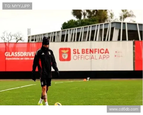 法马利康主场迎战本菲卡双方争夺积分激烈对决即将上演