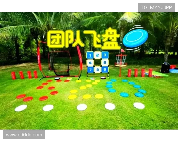 飞盘战术解析：探索上海飞盘队的运营模式与团队协作机制