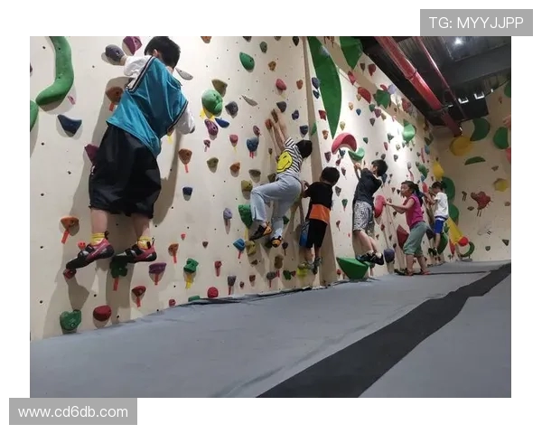 南京滑板队在攀岩联赛中的经验与表现分析与点评