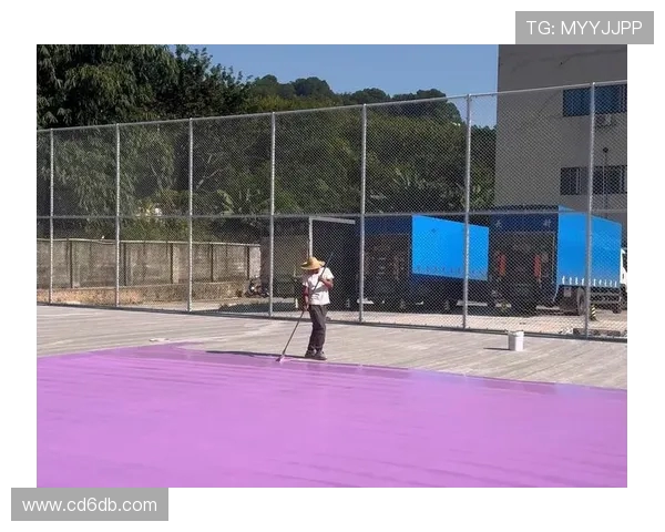 深圳网球队近期表现分析与未来发展方向探讨