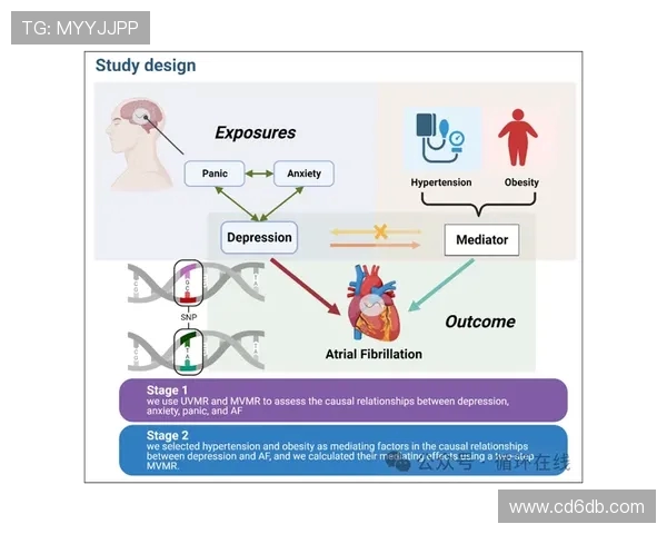 LNG在冠军杯中的团队配合分析与表现评估