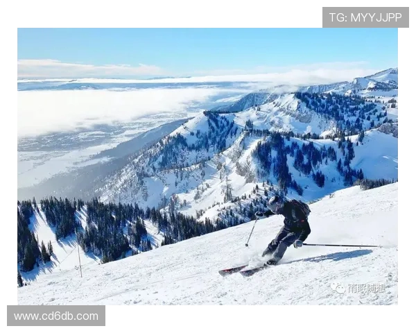 上海街舞队的包夹革新探索与实践全景解析