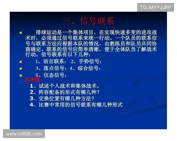 南京排球队进攻体系解析与战术创新探讨